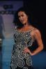 Megan Gale Picture 8